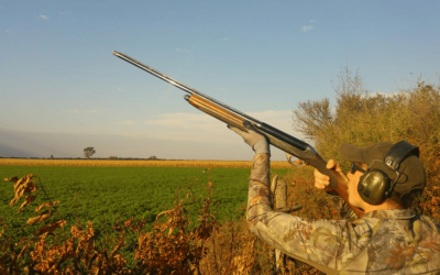 Best lodges for dove hunting in Córdoba
