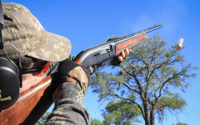 What makes Argentina a world-class hunting destination?