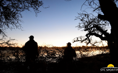 Why Córdoba is the world’s dove hunting capital