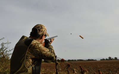 The best shotguns for Argentina dove hunting
