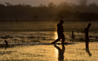 Do I need a guide for duck hunting in Argentina?