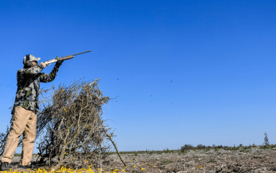 Argentina dove hunting season: Best times to visit